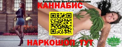 прущие крисы Малгобек