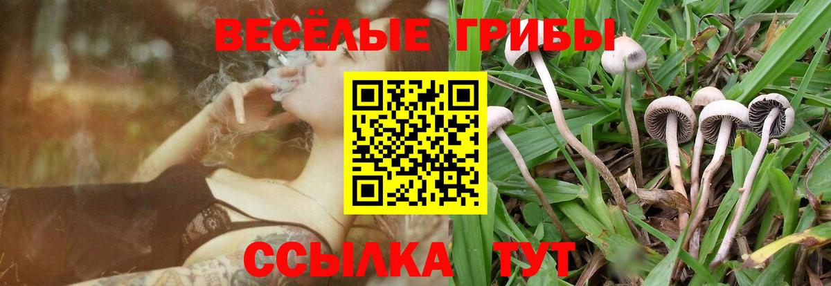 Галлюциногенные грибы Psilocybine cubensis  Вход с VPN  наркошоп  Донецк 